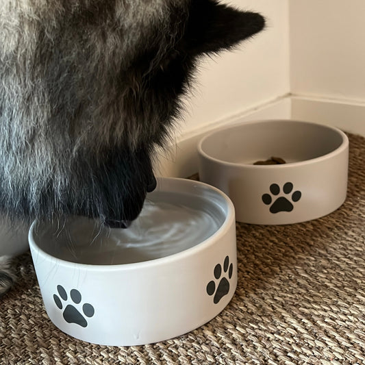 Hundeskål med Potemotiv