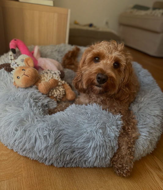 Happy Sleep Donut Hundeseng Light Grey