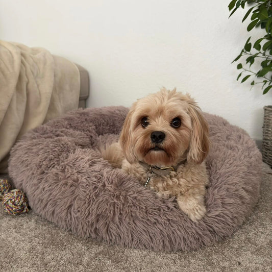 Happy Sleep Donut Hundeseng Coffee