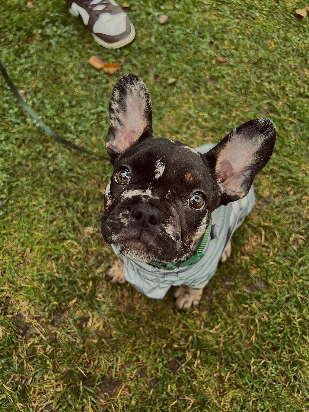 Berlin Regnjakke Refleks Cloud7