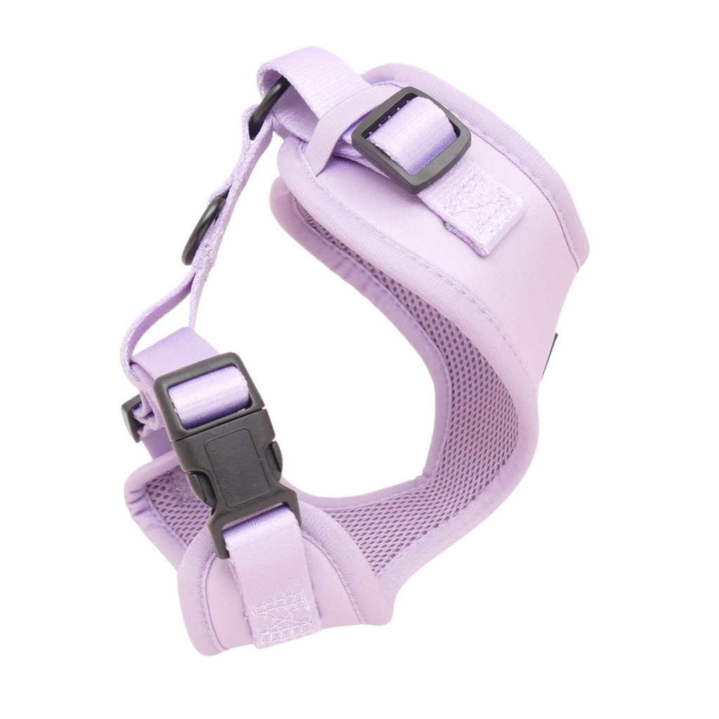 Aiko Hundesele Light Purple - nikos happy tail