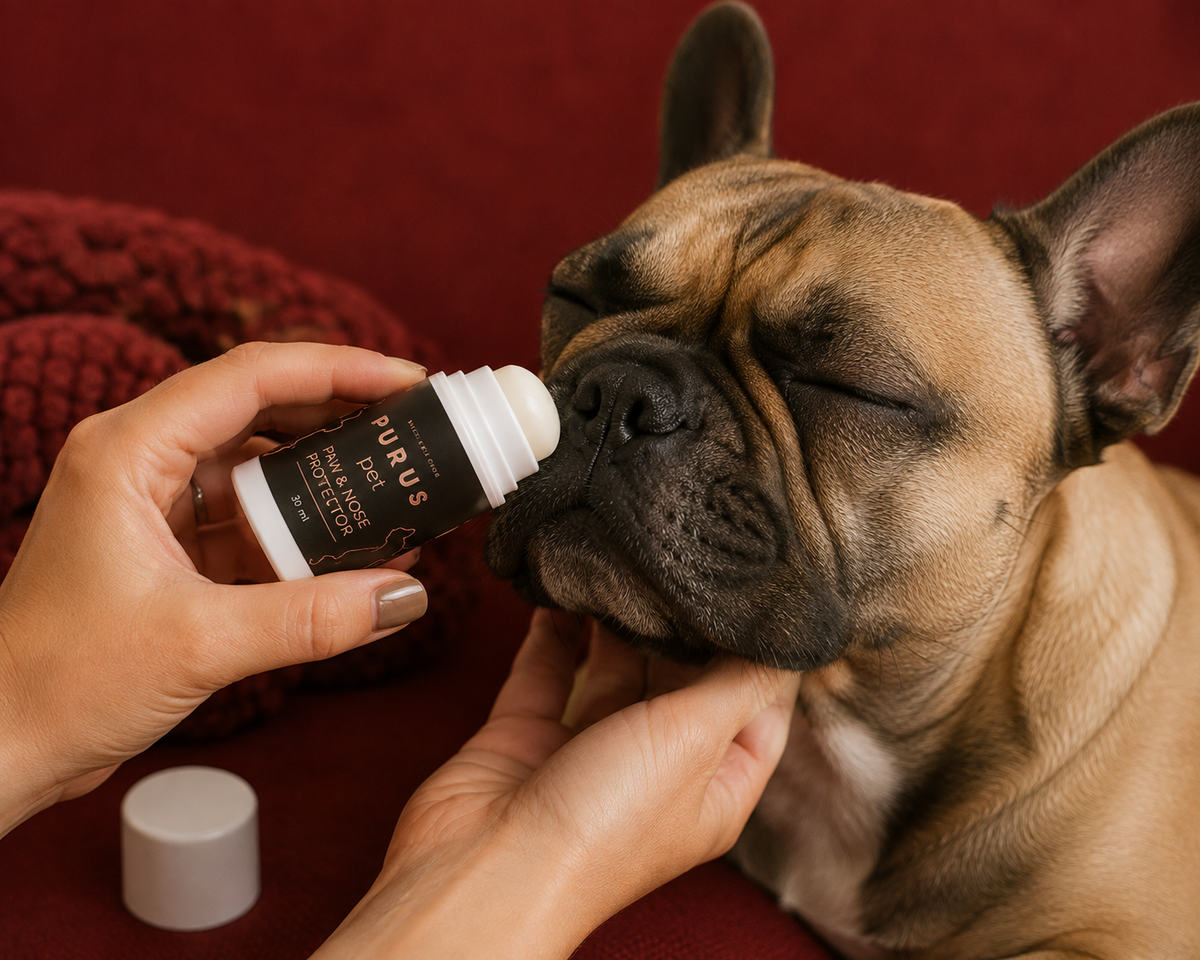 Naturlig pote- og næsebalmstift 30 ml