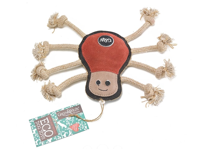 Spike the Spider