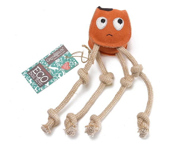 Sid the Squid