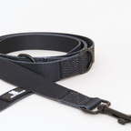 Aiko Hundesnor - nikos happy tail