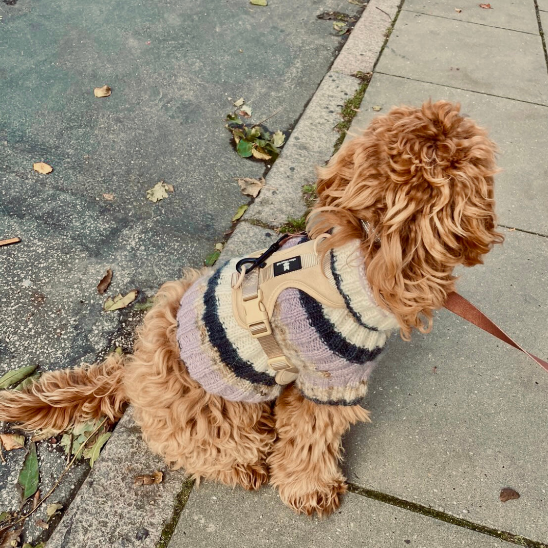 Maui Hundesele - nikos happy tail