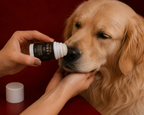 Naturlig pote- og næsebalmstift 30 ml