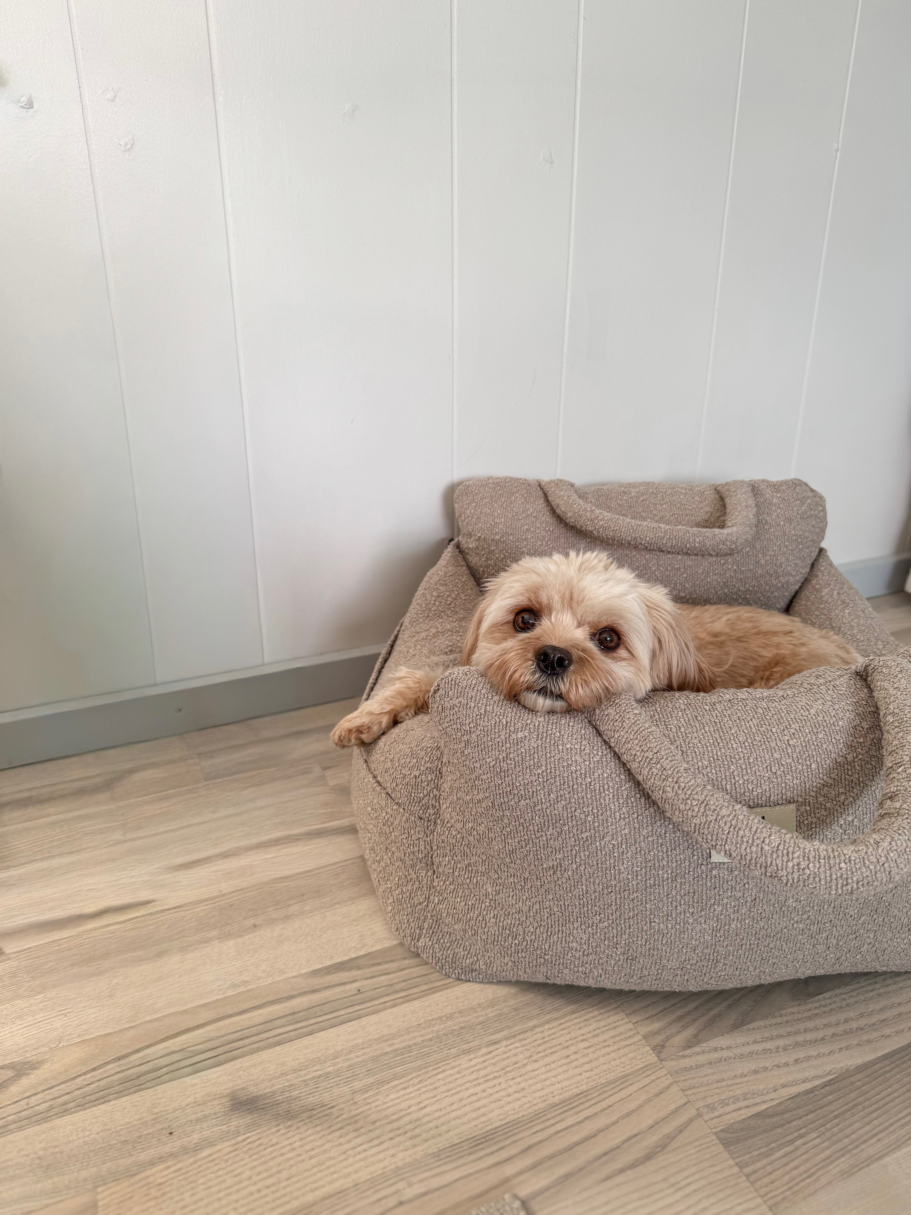 Noah Bilsæde til hunde - Beige