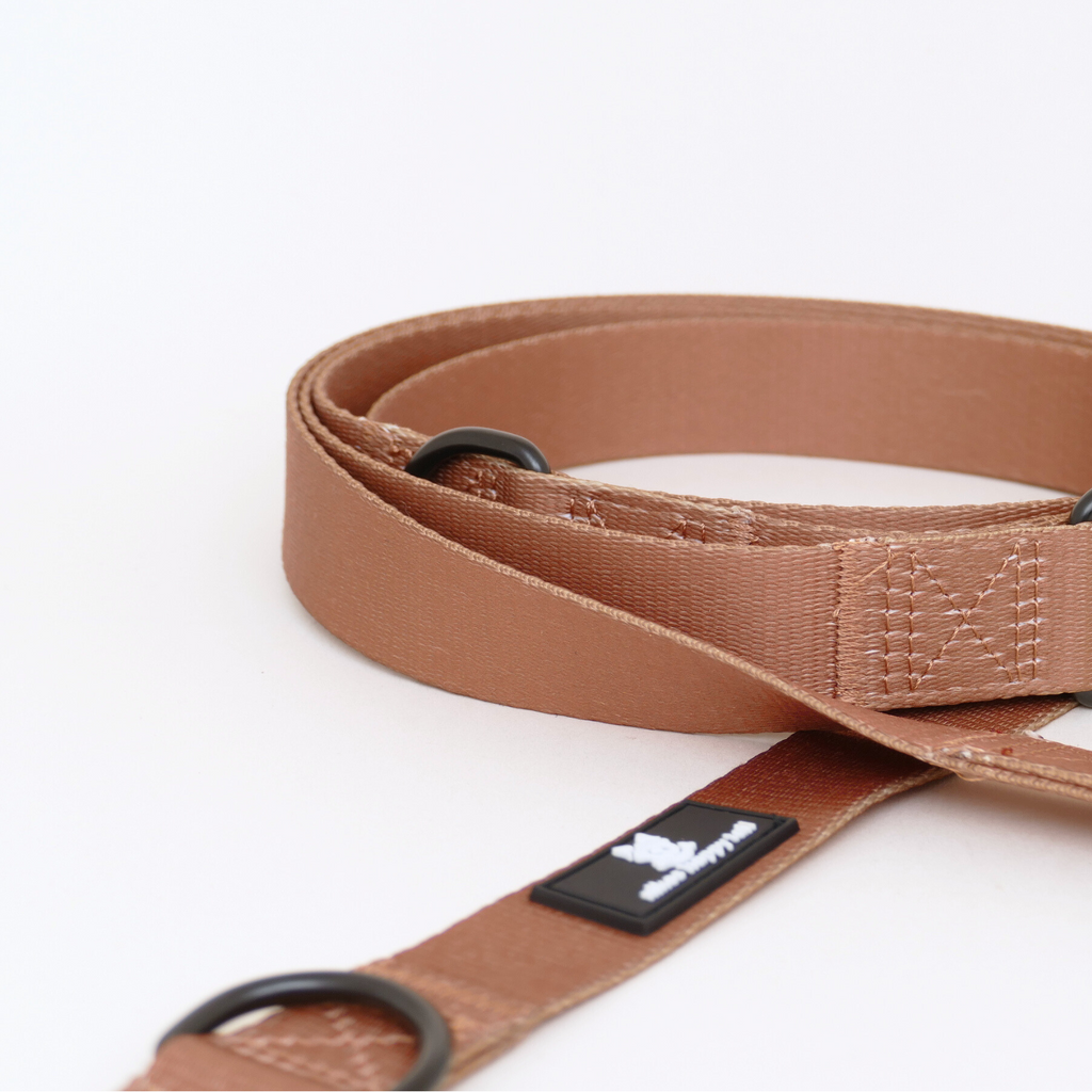 Aiko Hundesnor - nikos happy tail