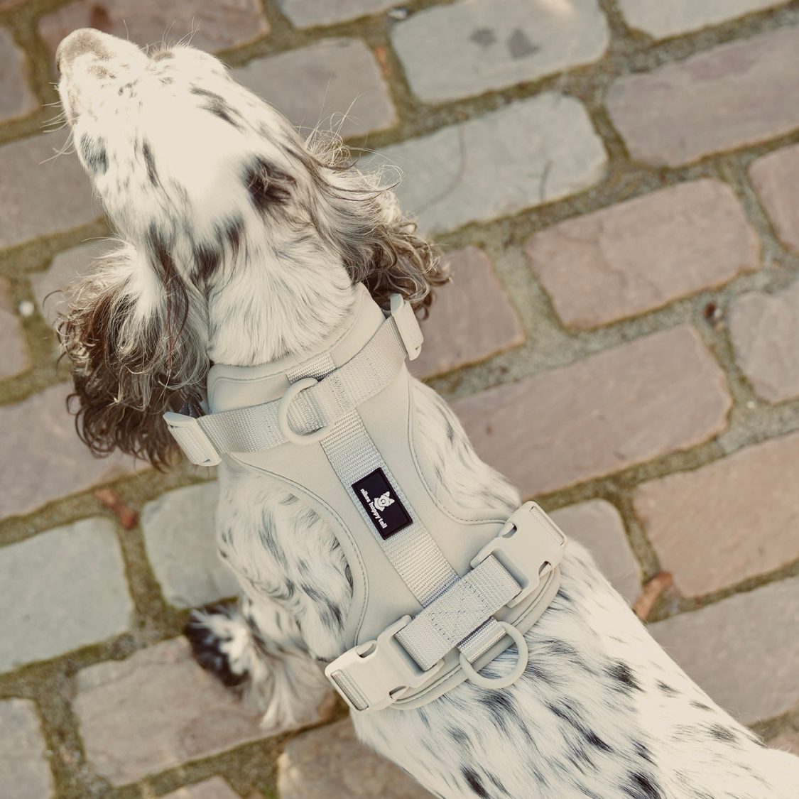 Maui Hundesele - nikos happy tail