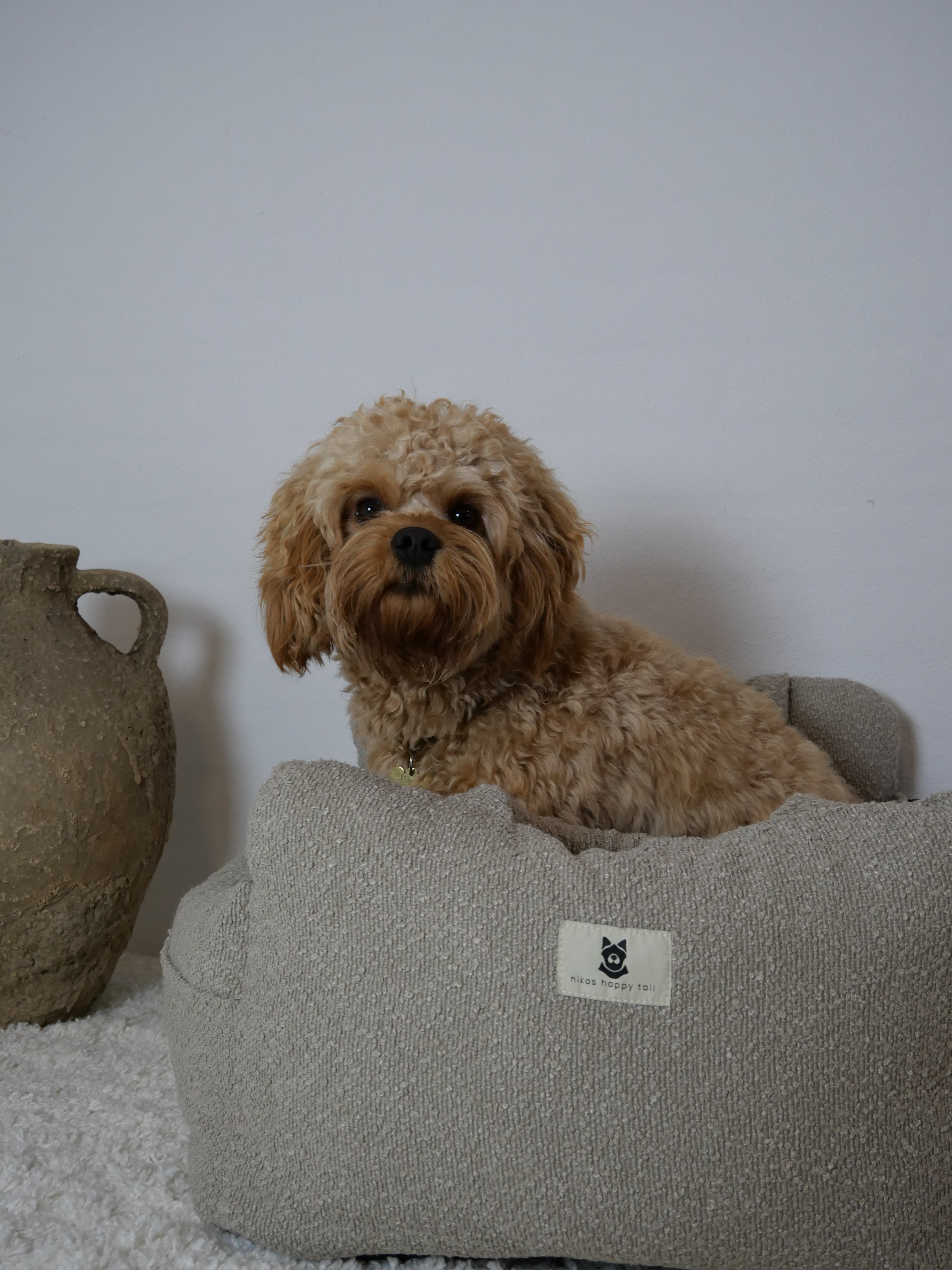 Noah Bilsæde til hunde - Beige