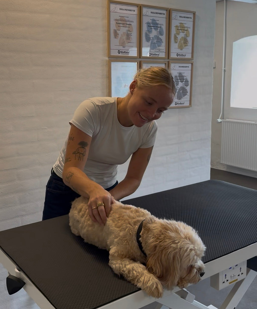Hundeosteopati