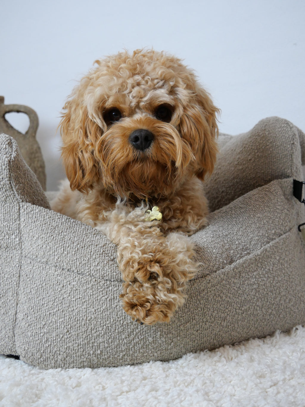 Noah Bilsæde til hunde - Beige