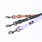 Aiko Hundesnor - nikos happy tail