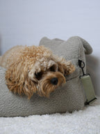 Noah Bilsæde til hunde - Beige