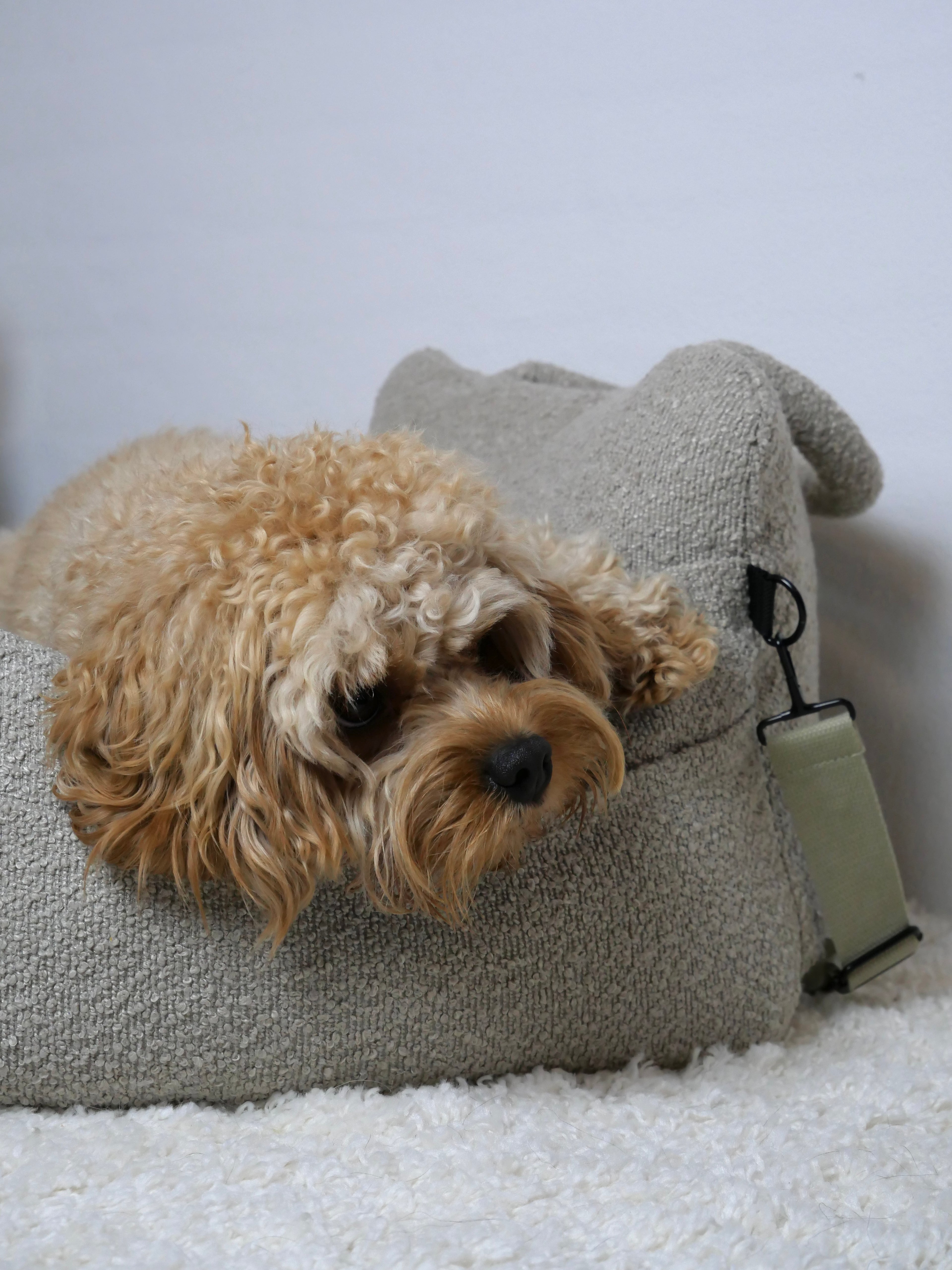 Noah Bilsæde til hunde - Beige