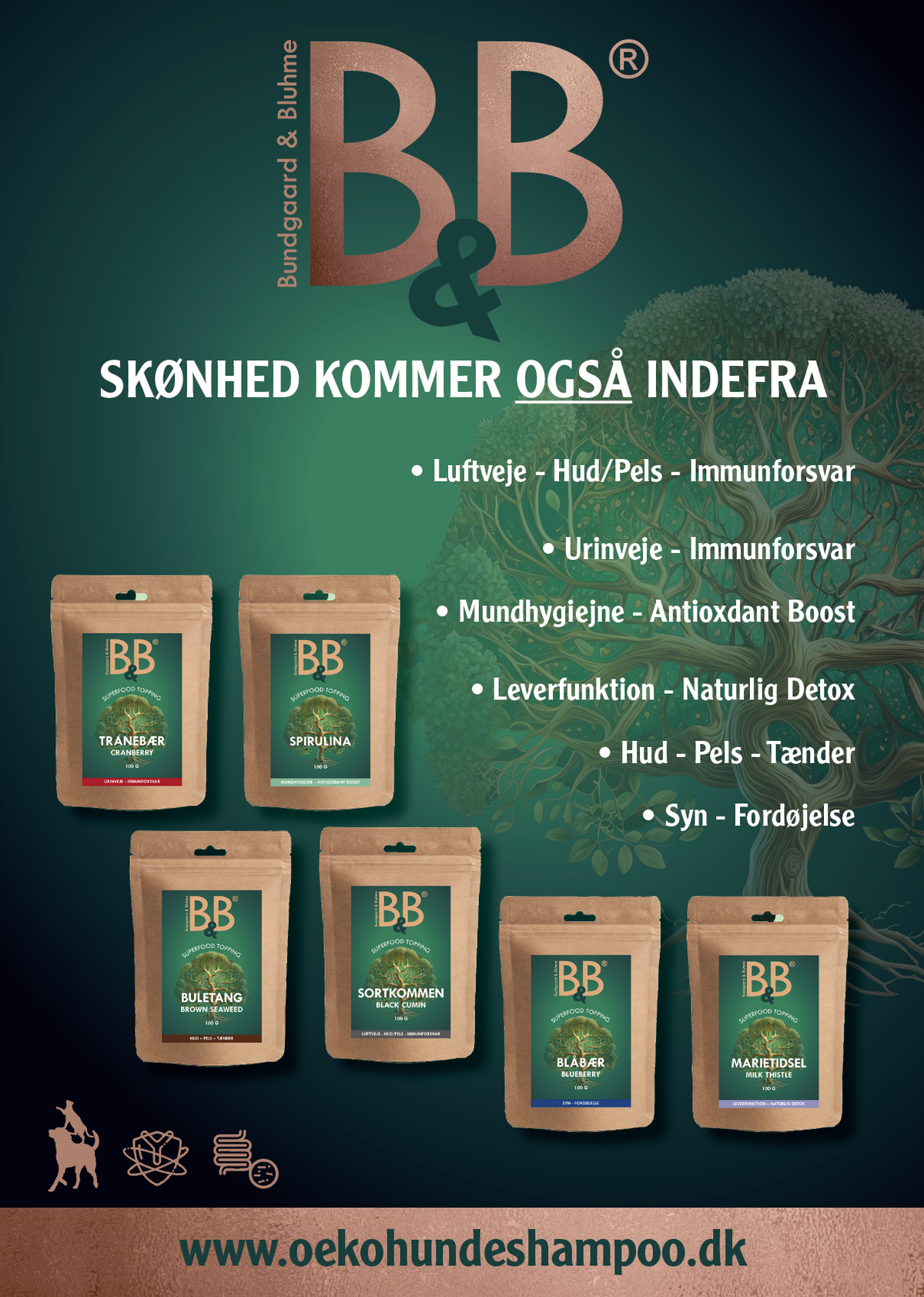 Superfood topping - Tranebær