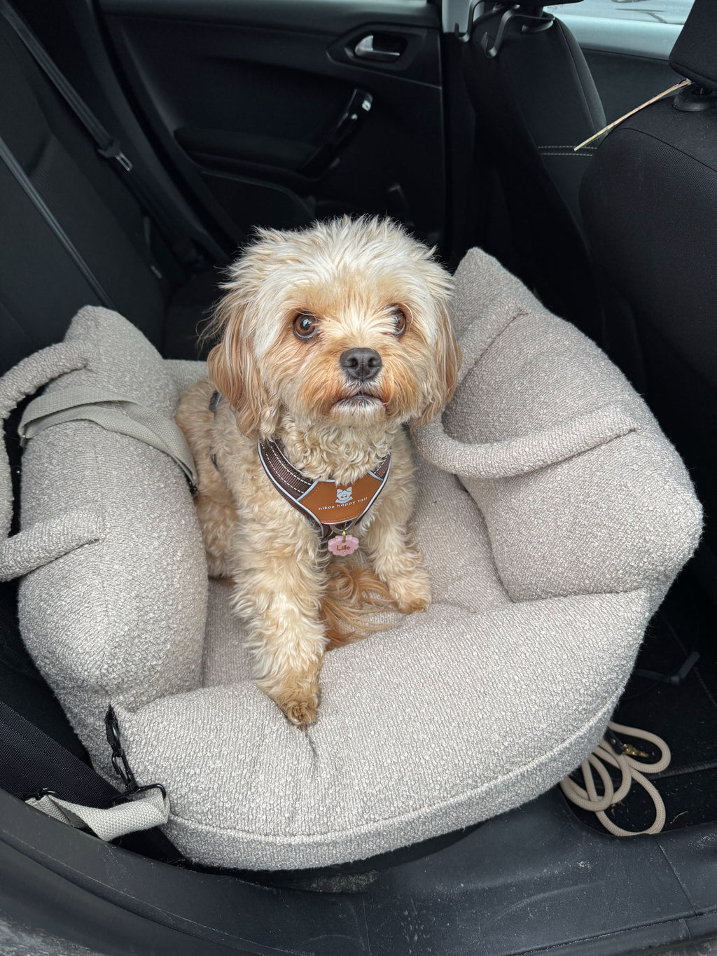 Noah Bilsæde til hunde - Beige