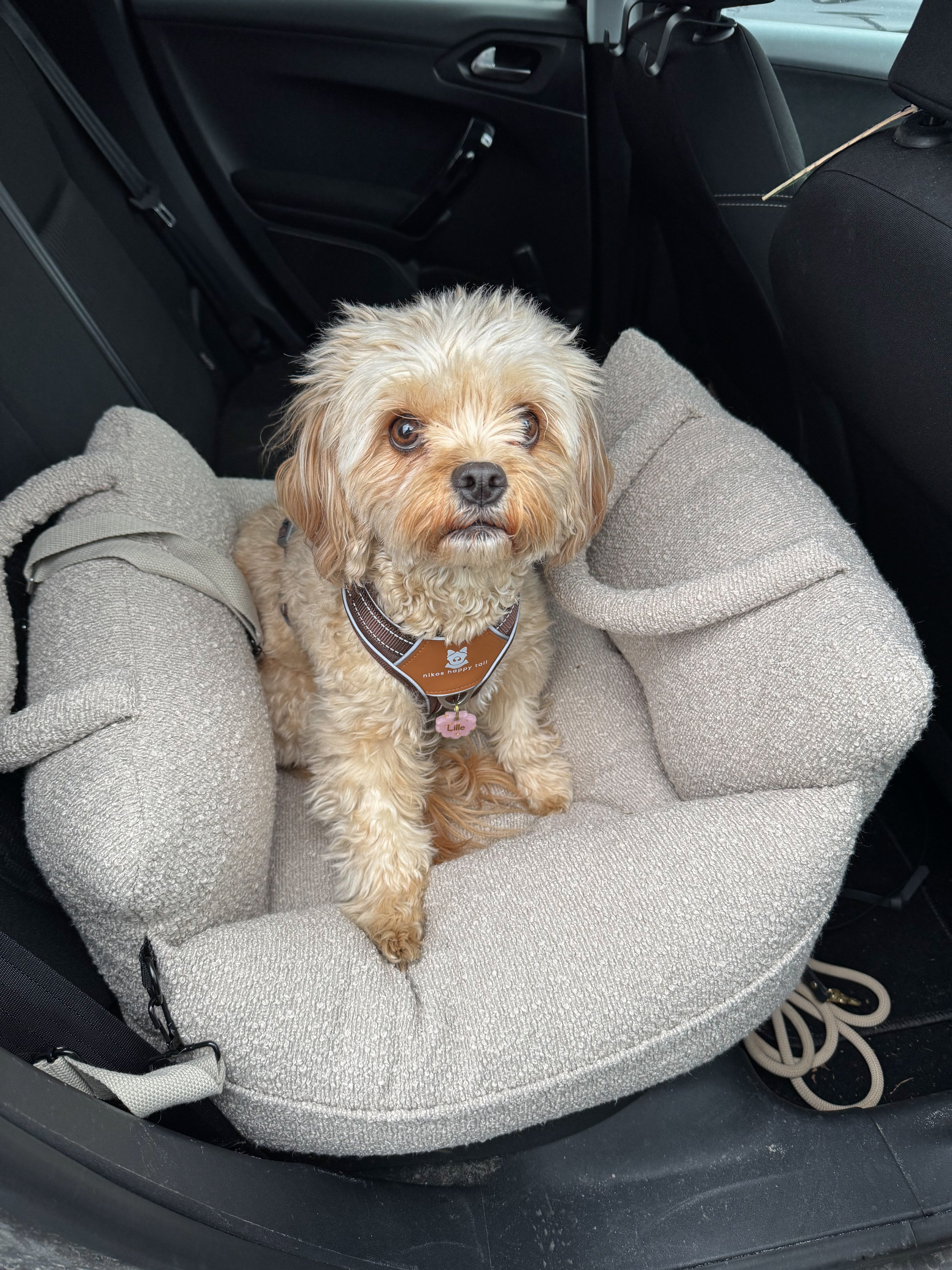 Noah Bilsæde til hunde - Beige