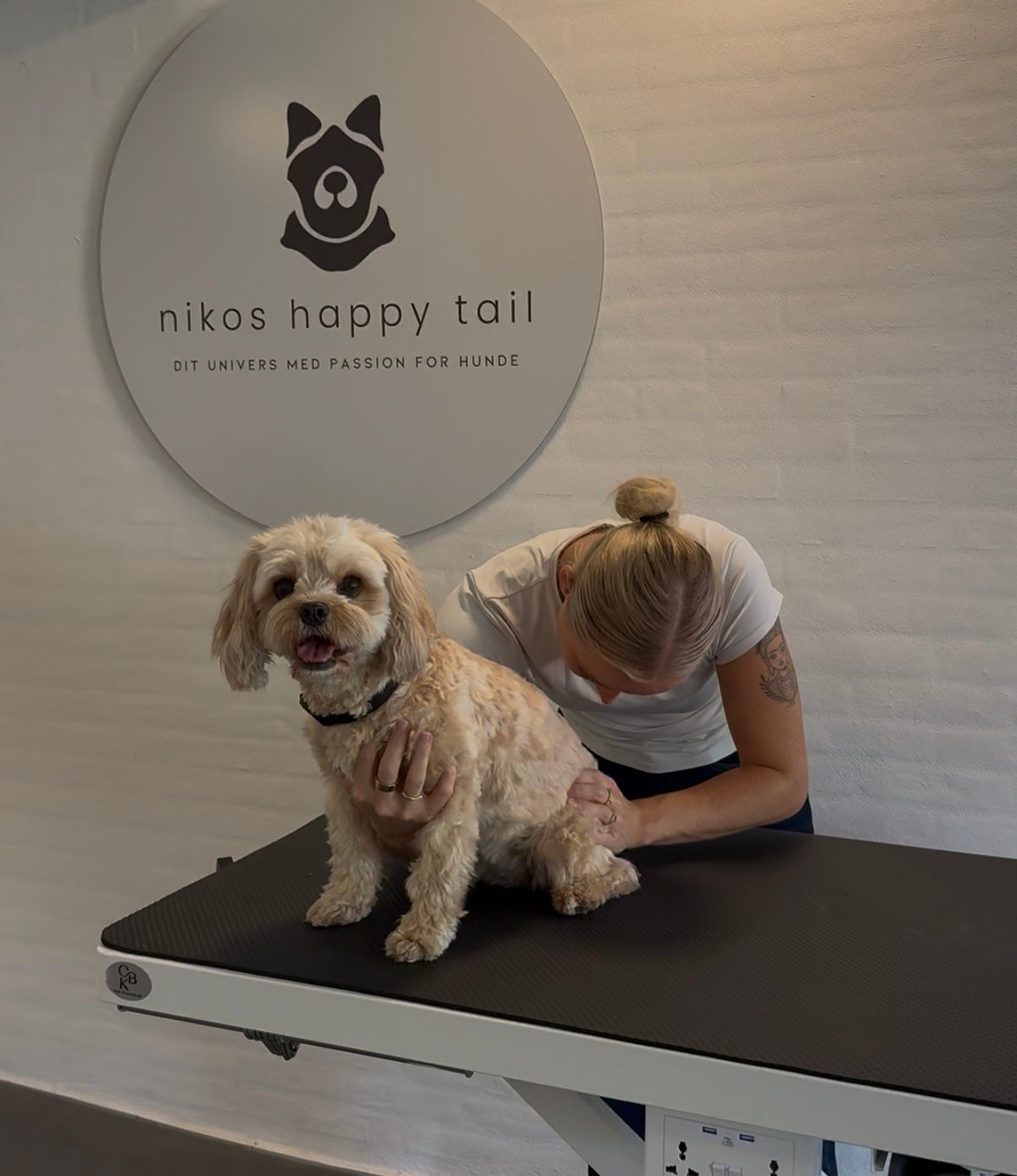 Hundeosteopati