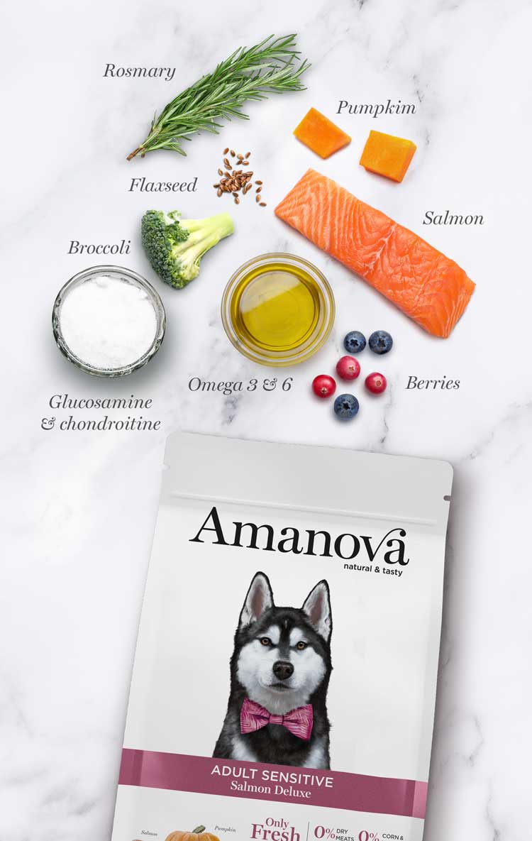 Amanova Luksus Laks Sensitive - Kornfrit voksen hundefoder - 10 kg