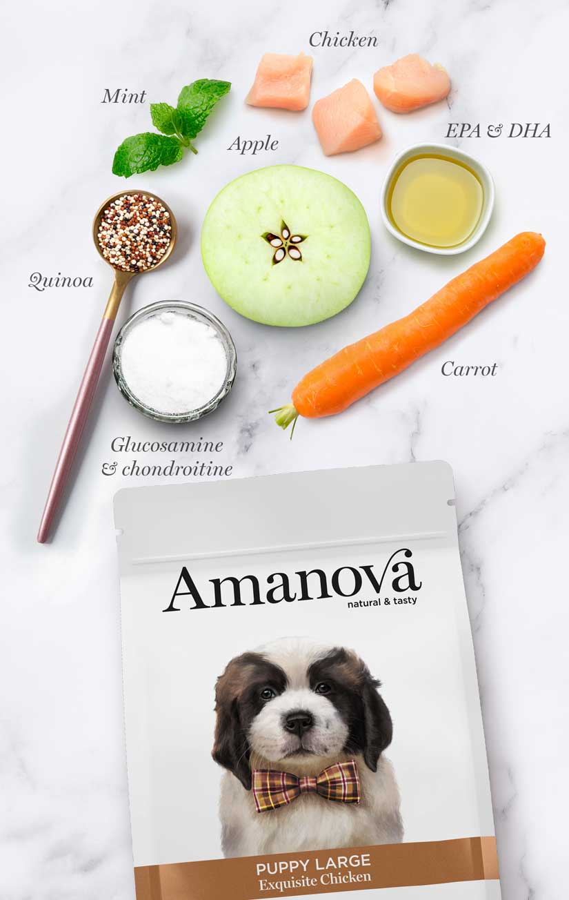 Amanova Udsøgt Kylling - Hvalpefoder til store hunde - 12 kg