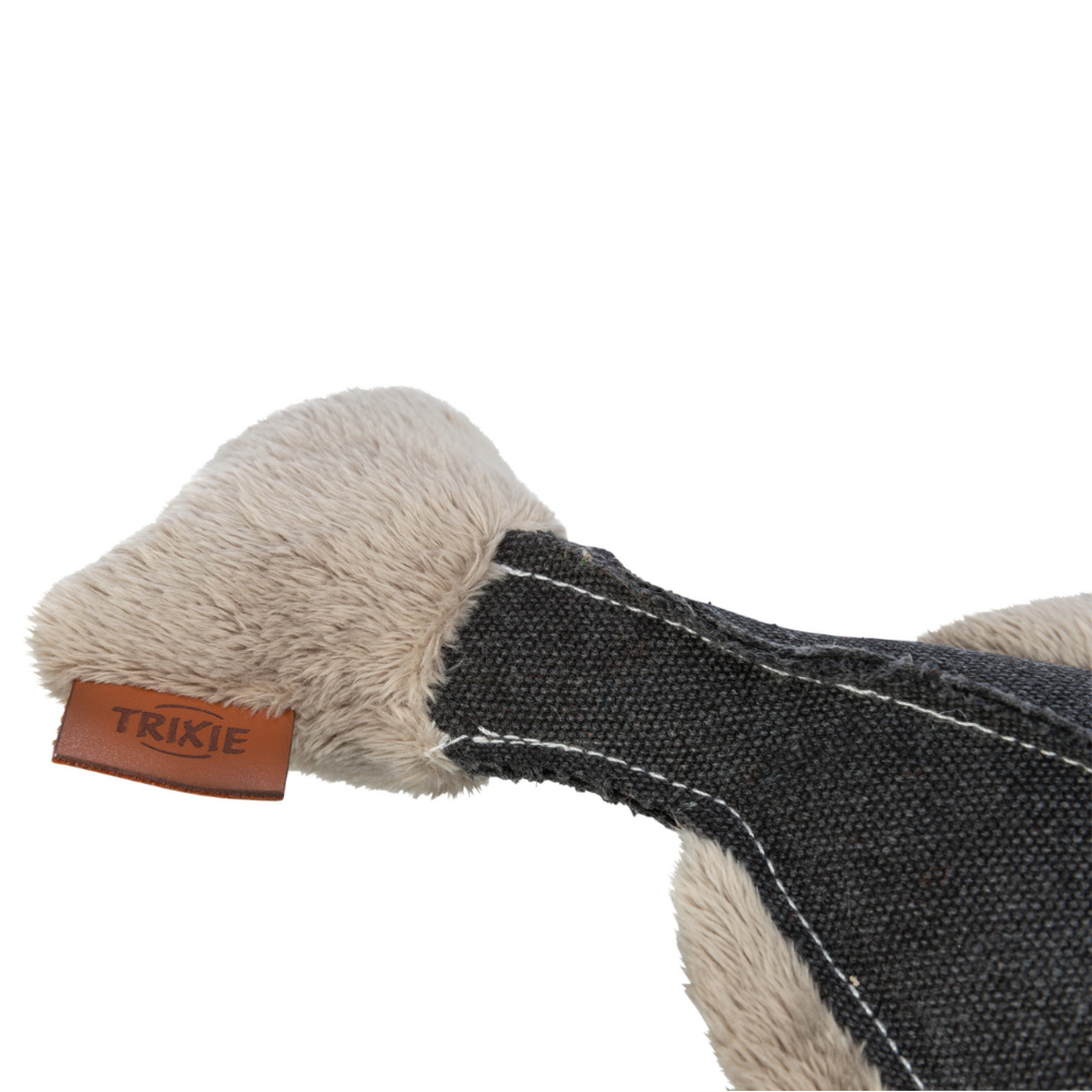 Hajo flounder - nikos happy tail