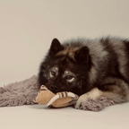 Eigil Egern - nikos happy tail