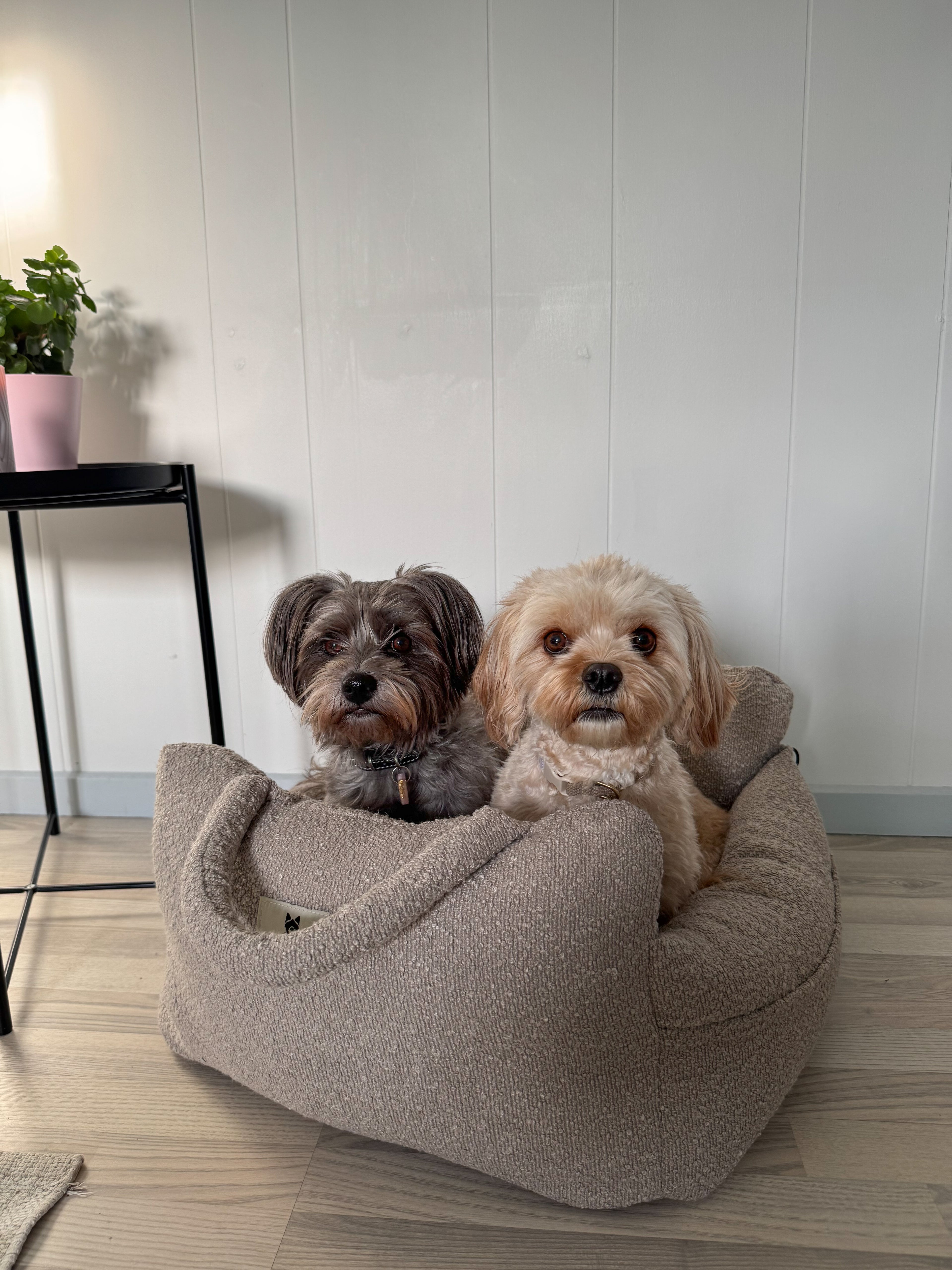 Noah Bilsæde til hunde - Beige