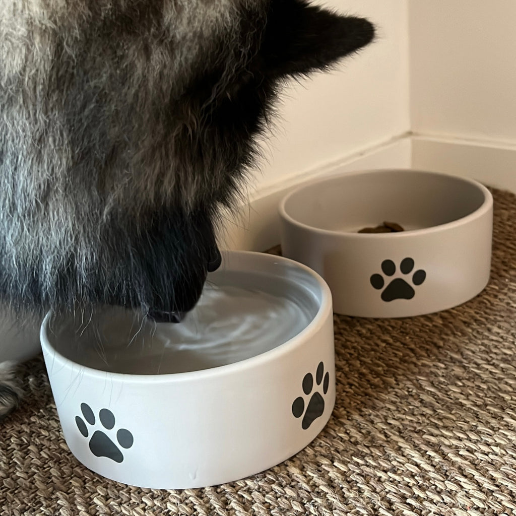 Hundeskål med Potemotiv