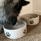 Hundeskål med Potemotiv