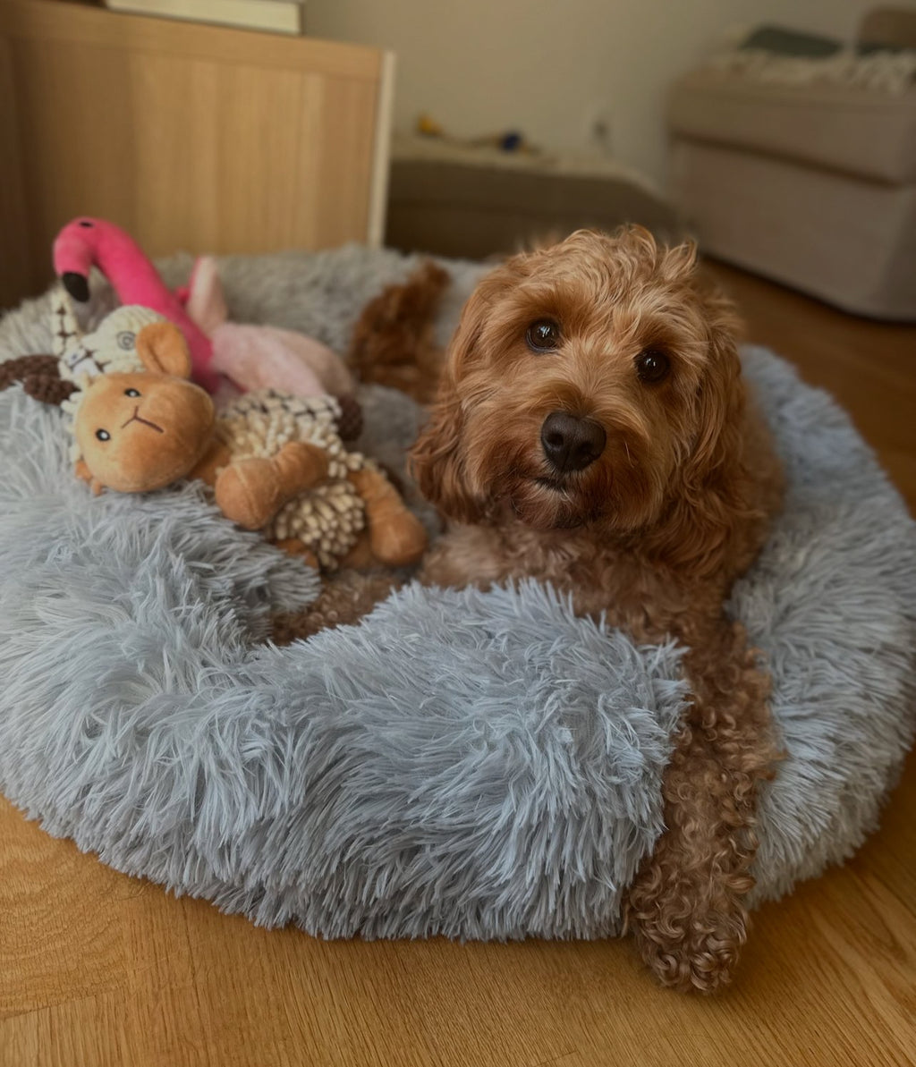 Happy Sleep Donut Hundeseng Beige