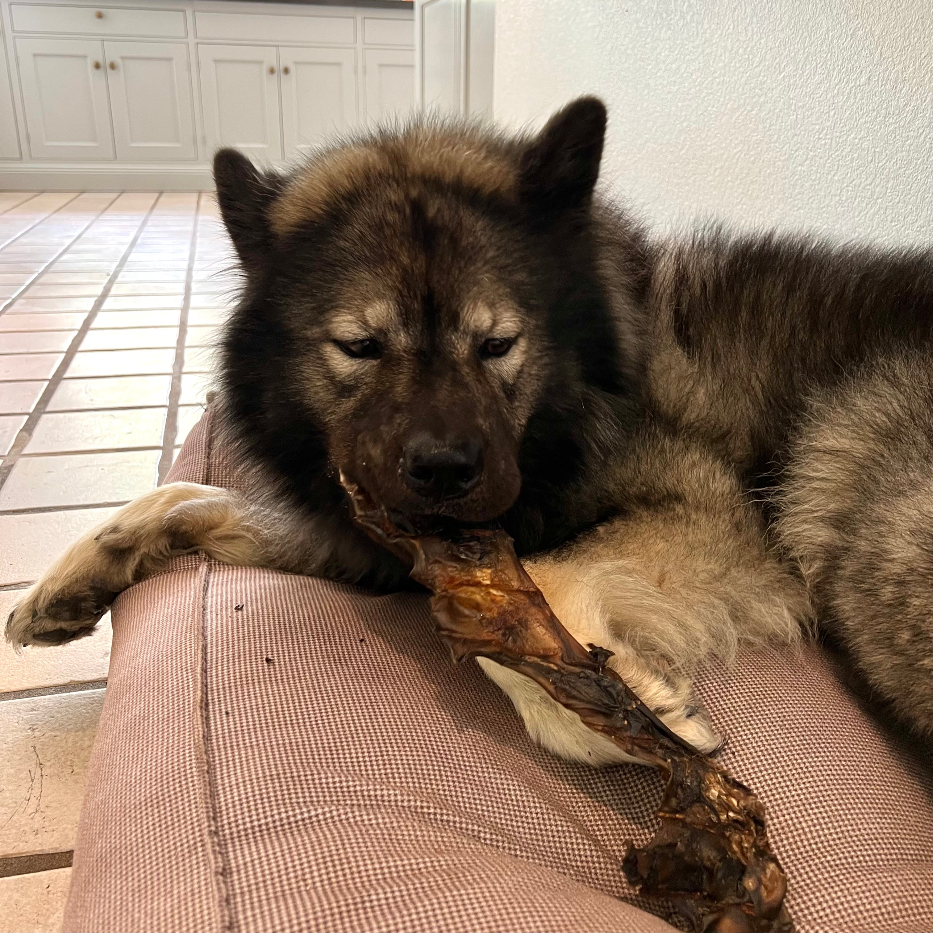 Hestehudsplader 200g