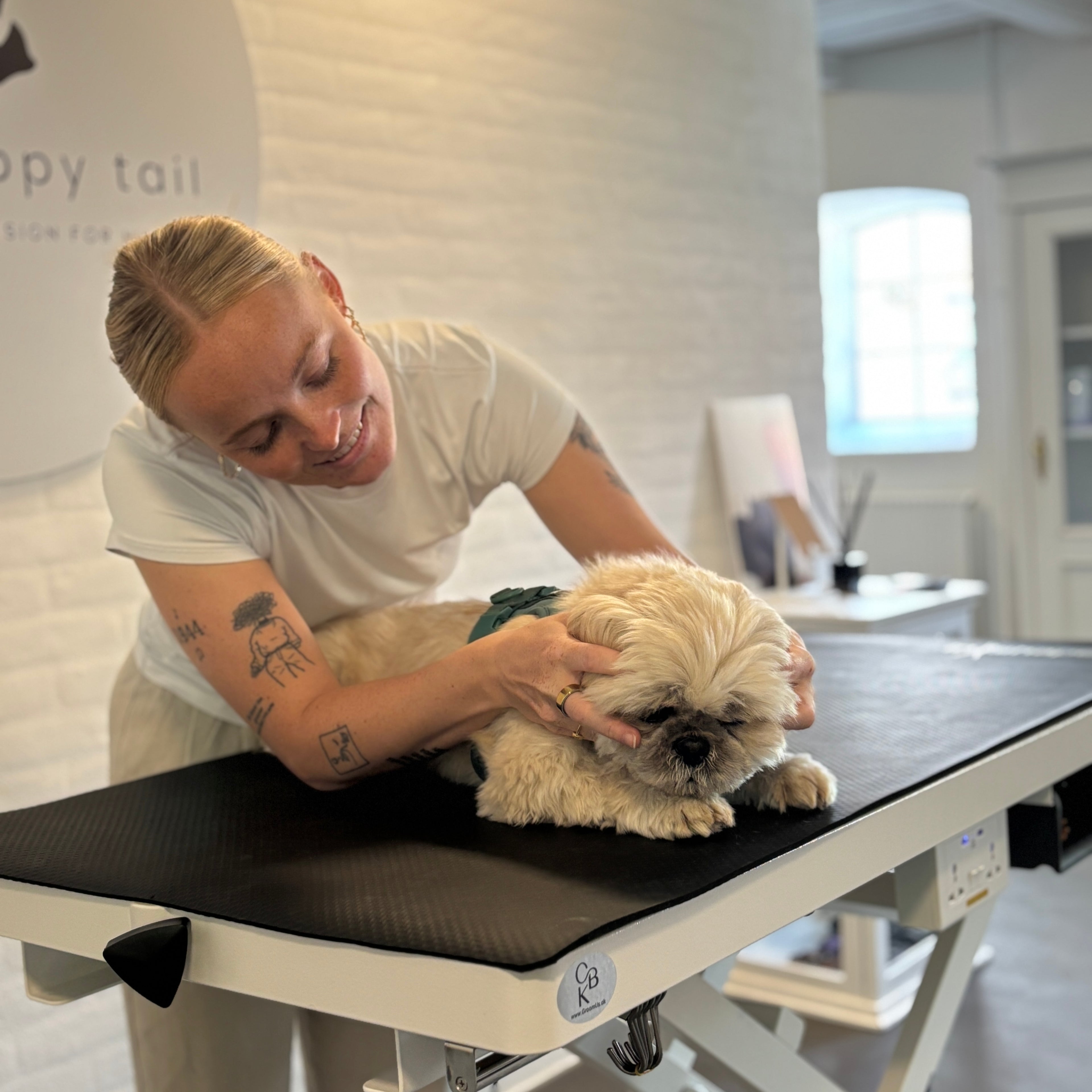 Kranio Sakral Terapi