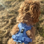 Maui Hundesele Ocean Blue