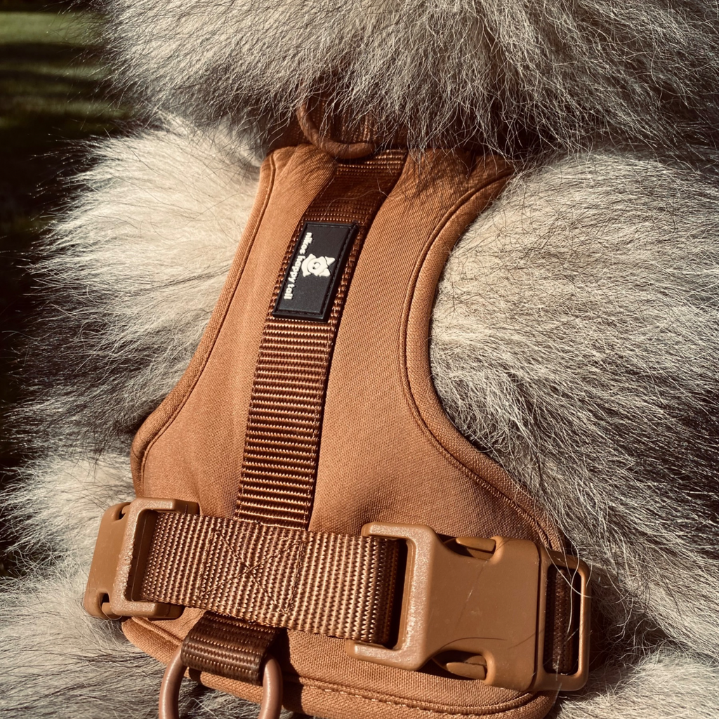 Maui Hundesele - nikos happy tail