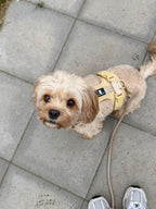 Maui Hundesele Beige