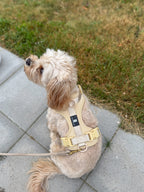 Maui Hundesele Beige