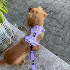 Maui Hundesele Light Purple