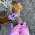 Maui Hundesele Light Purple