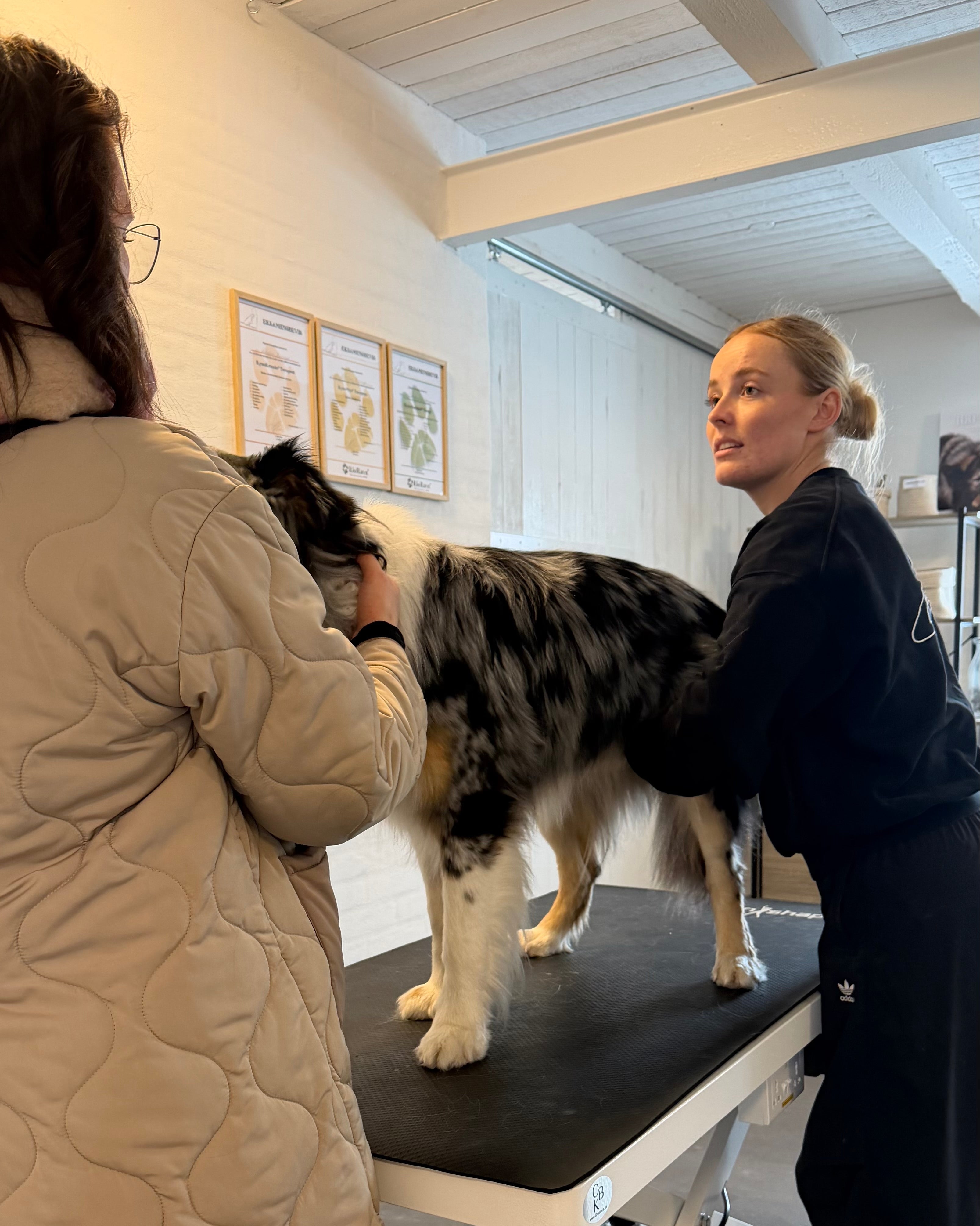 Osteopatisk justering