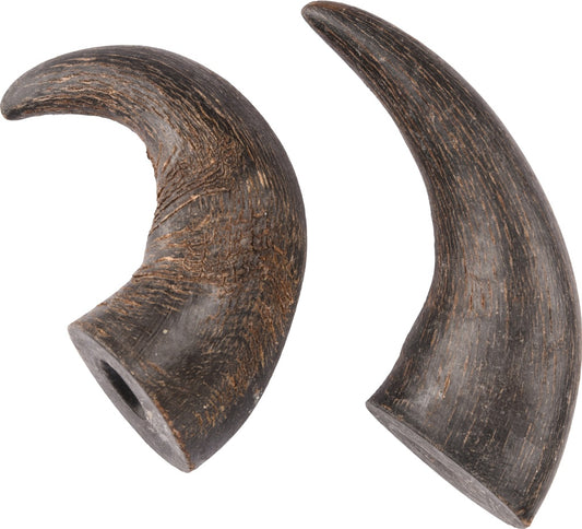 Buffalo Horn