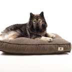 Noah Hundeseng Brown