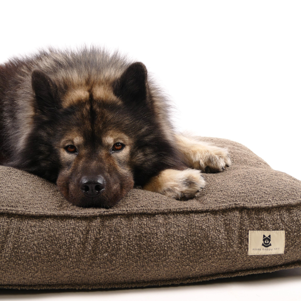 Noah Hundeseng Brown