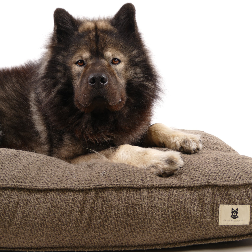 Noah Hundeseng Brown