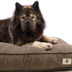 Noah Hundeseng Brown