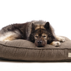 Noah Hundeseng Brown