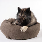 Nora Hundeseng i bouclé Brown