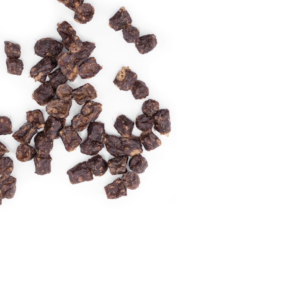 Mini Trainers Andekød 100g