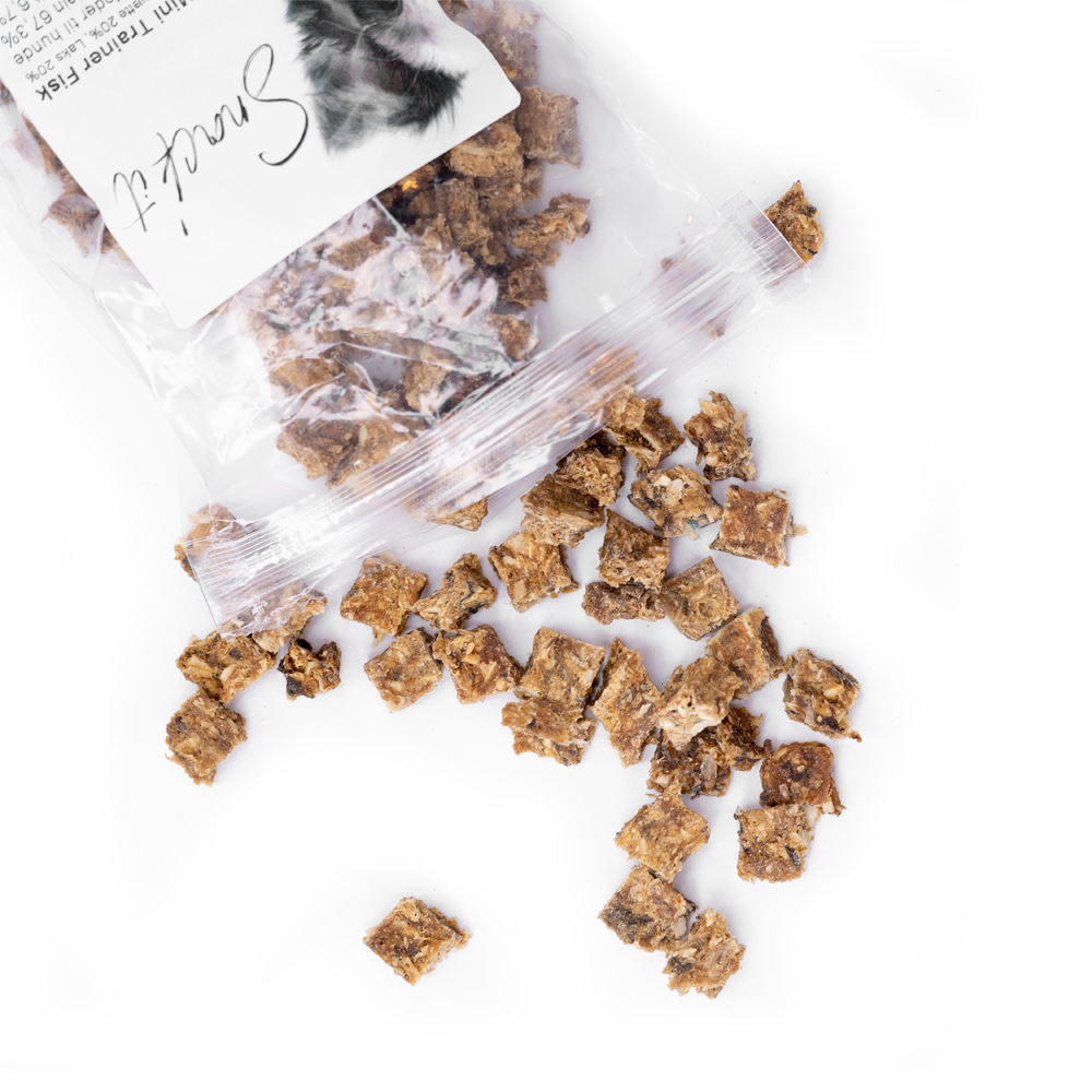 Mini Trainers Fisk 100g